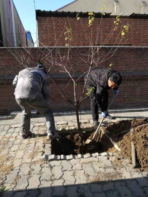 webwxgetmsgimg.jpg webwxgetmsgimg.jpg